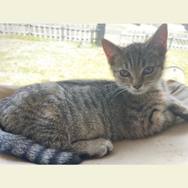 Photo of Belle