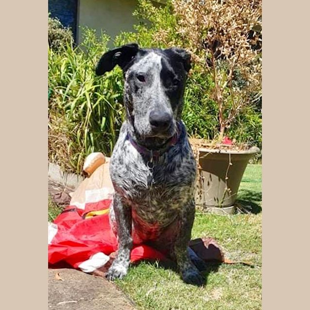 Photo of Tilly
