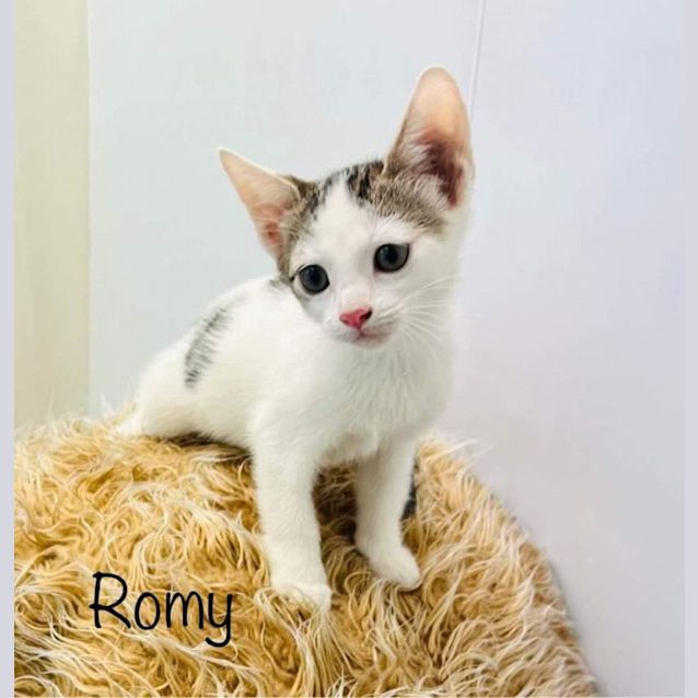 Photo of Romy