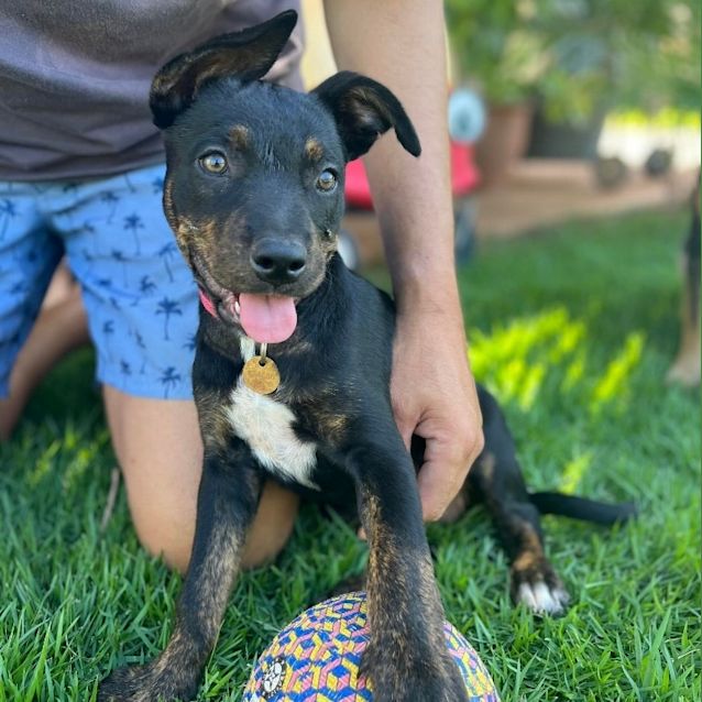 Photo of Tilly