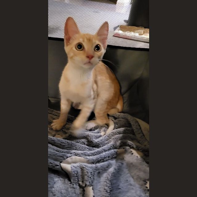 Photo of Lenny 