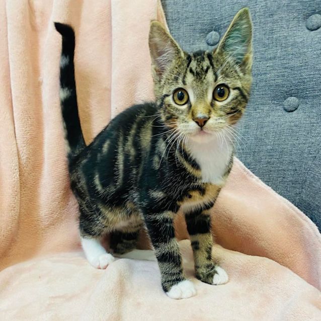 Photo of Midnight   Located In Preston