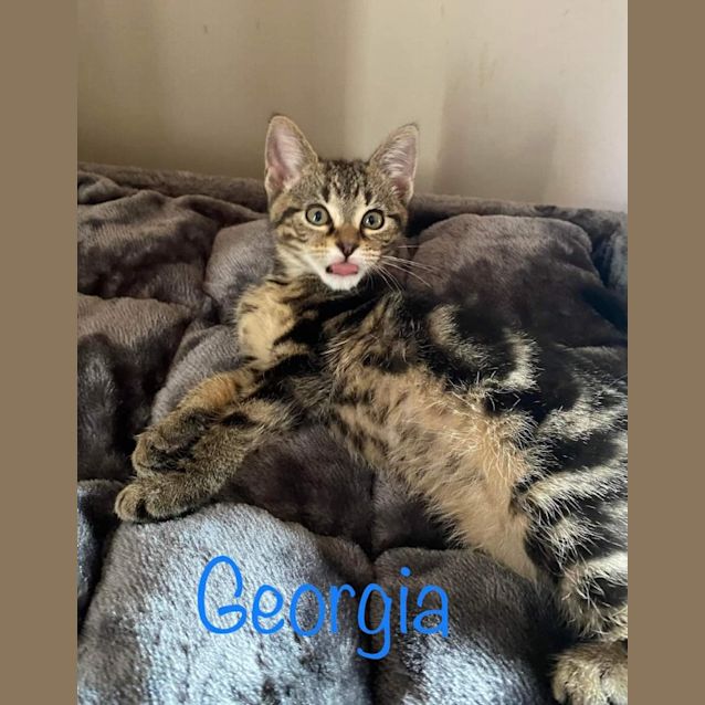 Photo of Georgia
