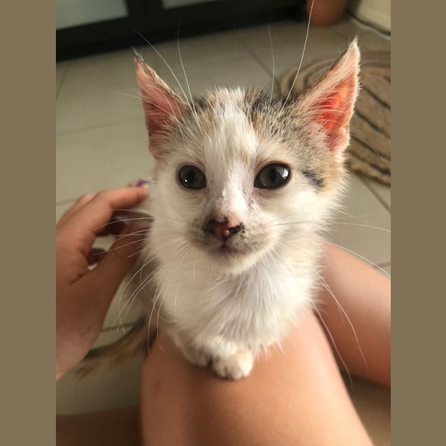 Photo of Addy (Adeline)