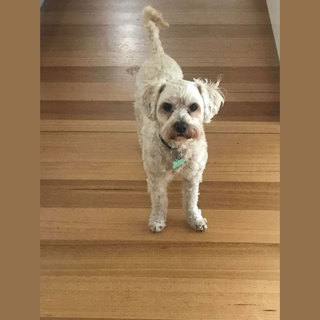 Photo of Tom