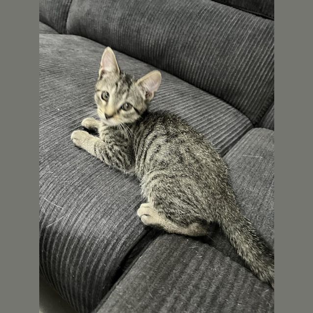 Photo of Monty