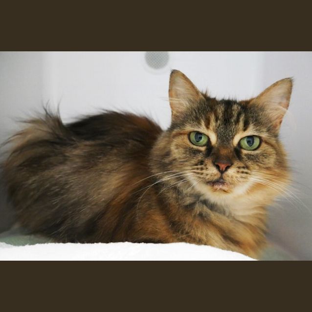 Photo of Christie Sua009308