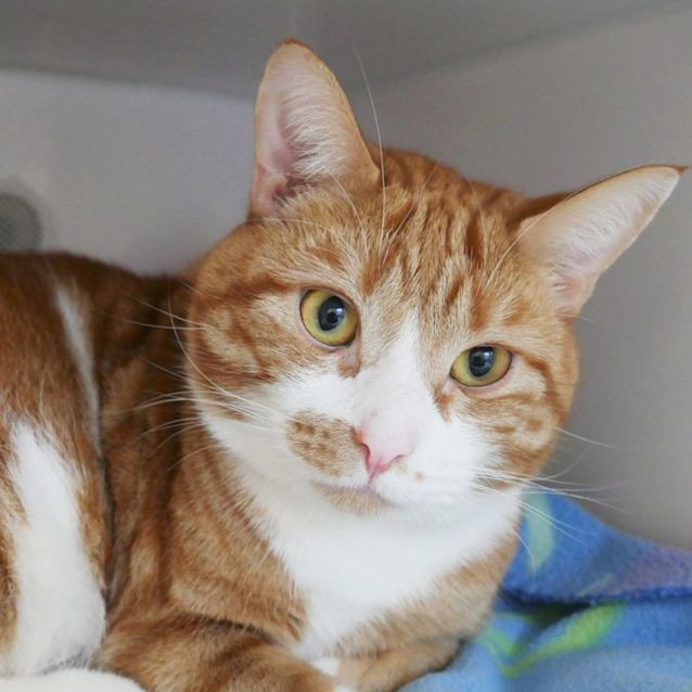 Photo of Toby Rsta005368