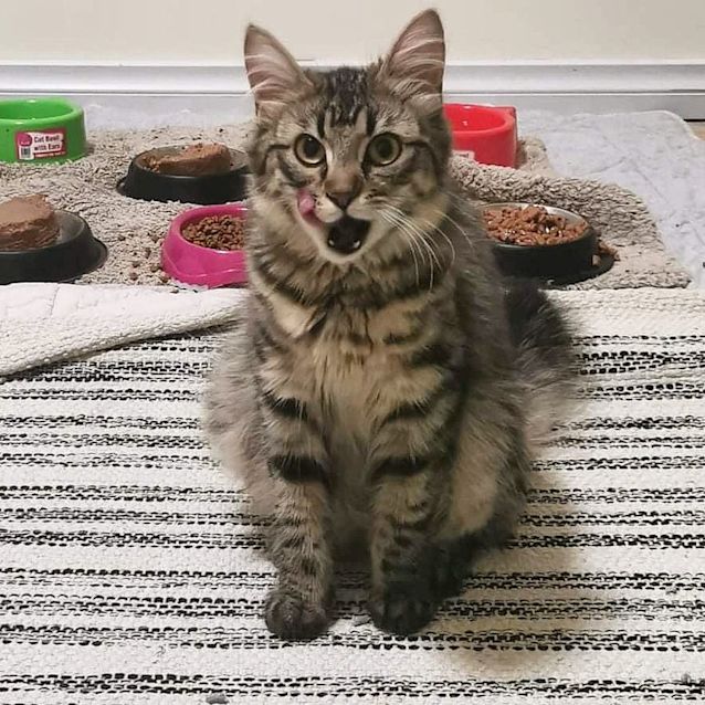 Photo of Jalapeno (Located In Pakenham)