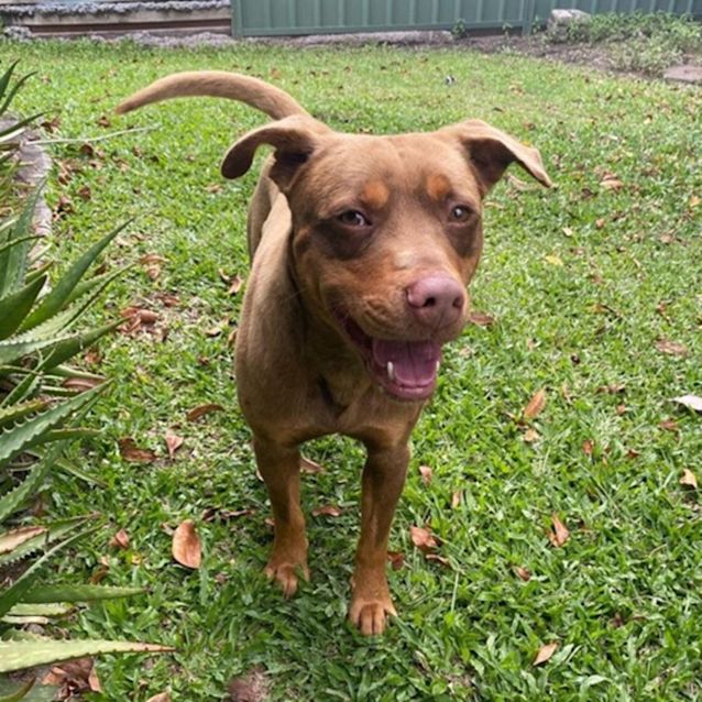 Photo of Cadbury