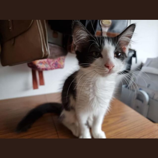 Photo of Jasmine 