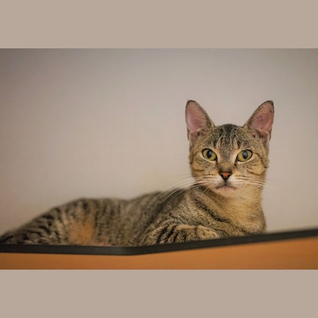Photo of Tabitha