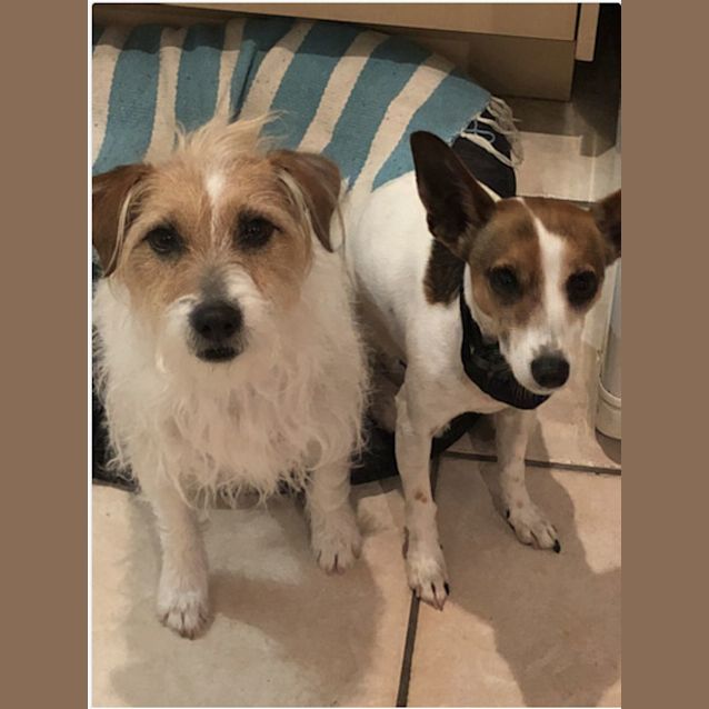 Photo of Rosie And Impi