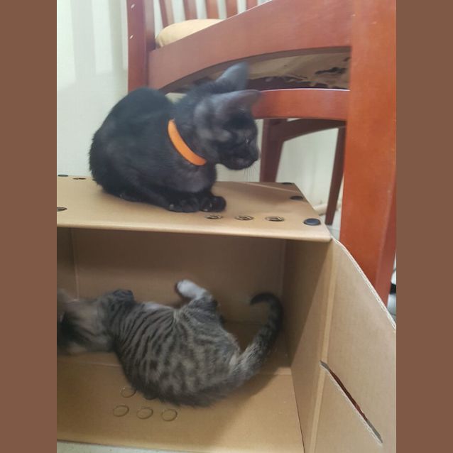 Photo of Zara And Zella