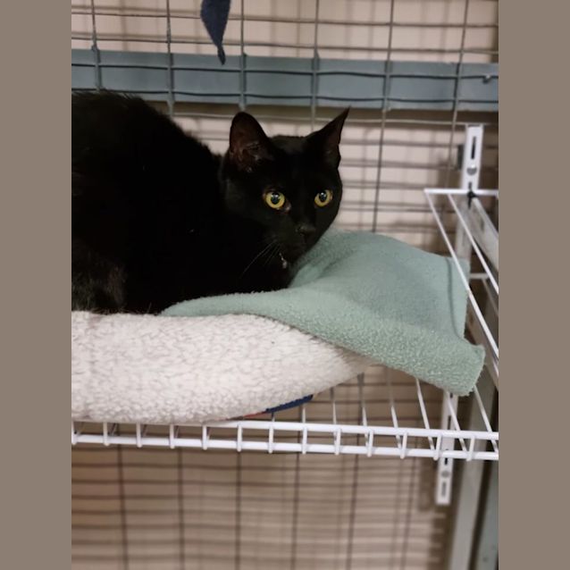 Photo of Khali & Bodhi