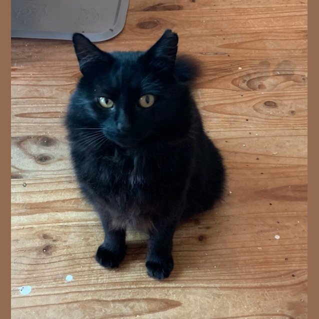 Photo of Jedd   Can Transport To You