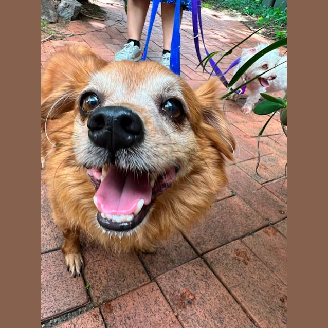 Photo of Finlay And Penny 