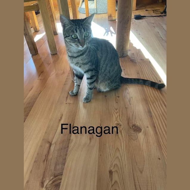 Photo of Flanagan