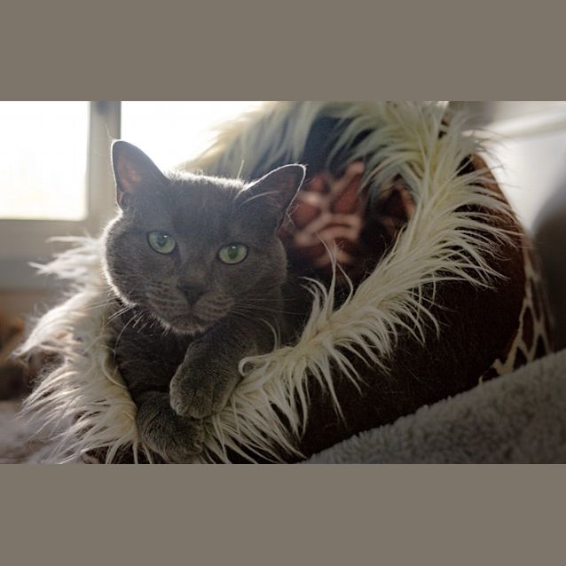 Photo of Mia