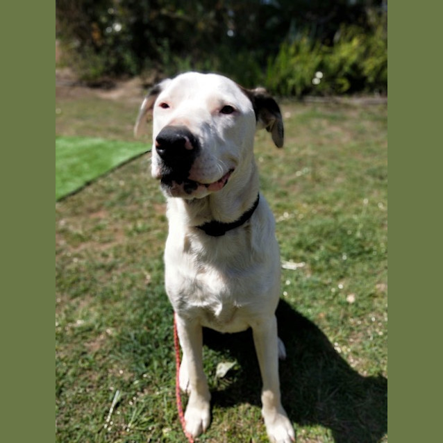 Photo of Jasper
