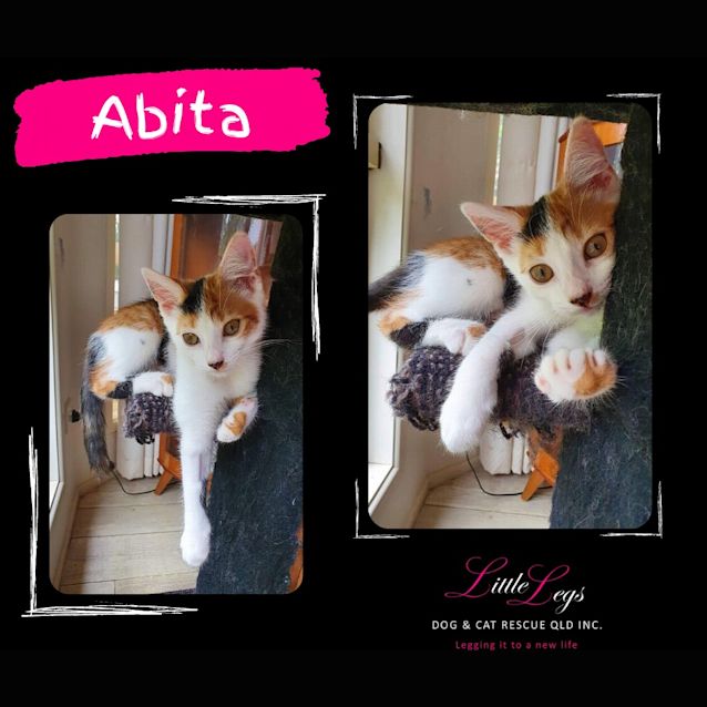 Photo of Abita