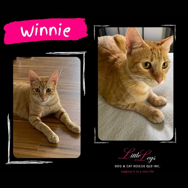 Photo of Winnie