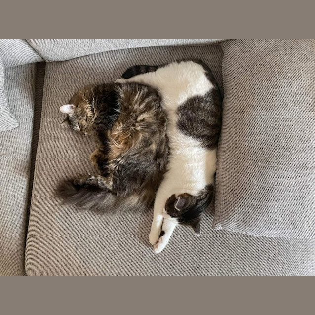 Photo of Hunter And Thomas ❤❤