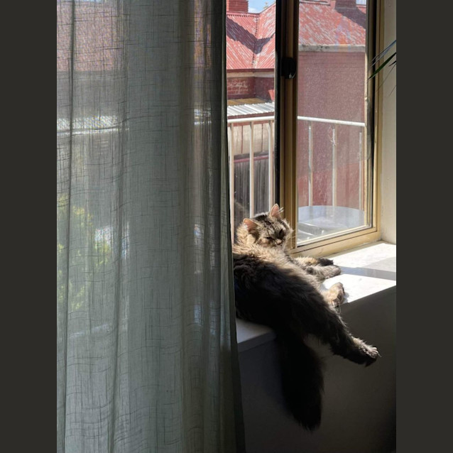 Photo of Hunter And Thomas ❤❤