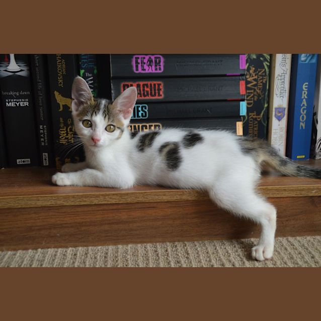 Photo of June