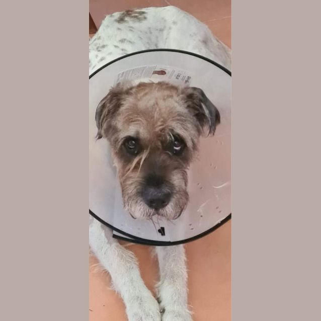 Photo of Zeus