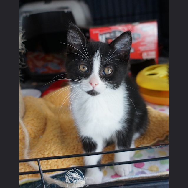 Photo of Elvira