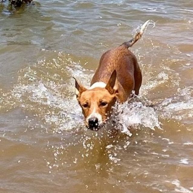 Photo of Max