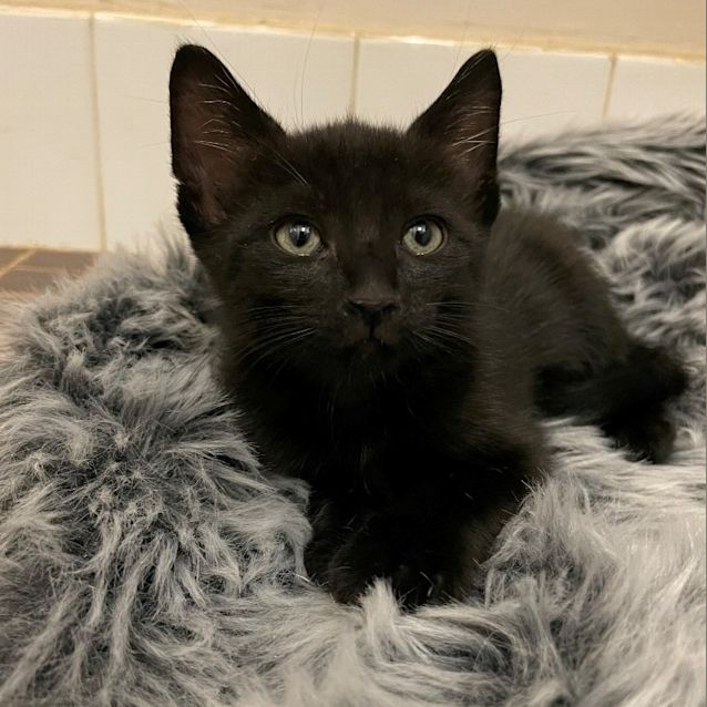Photo of Pablo
