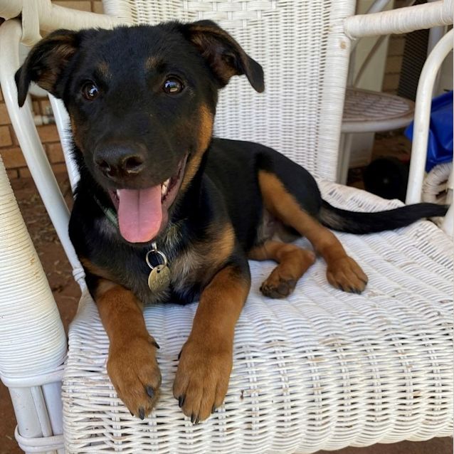Photo of Rolo