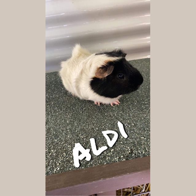 Photo of Aldi