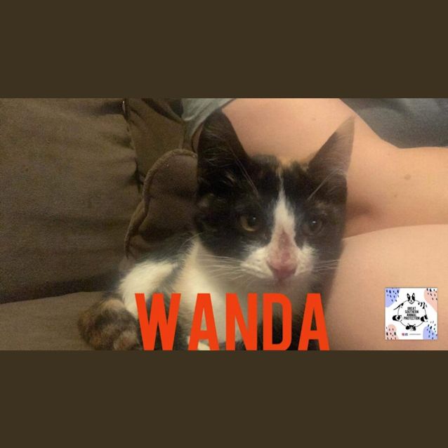 Photo of Wanda