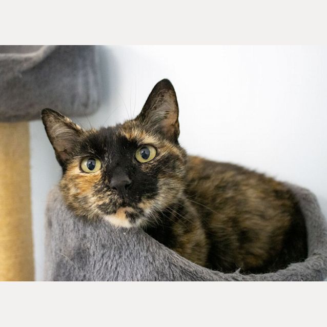 Photo of Missy