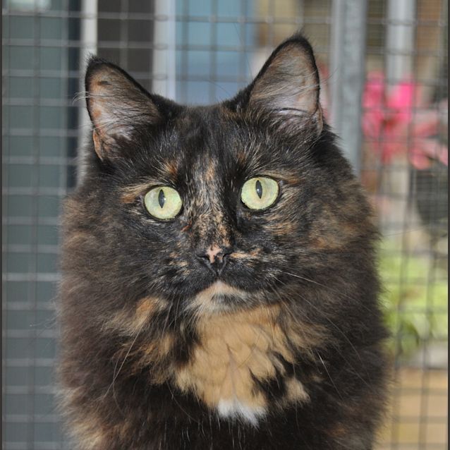 Photo of Rosie