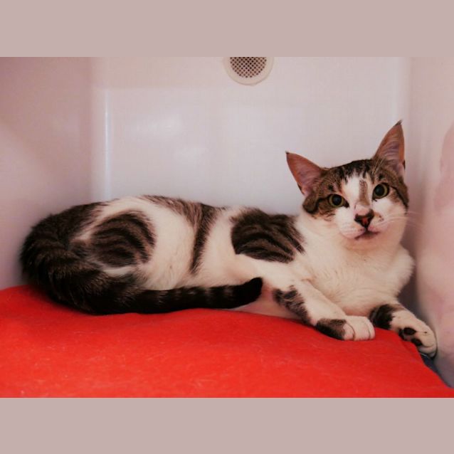 Photo of Winfield Sua009506