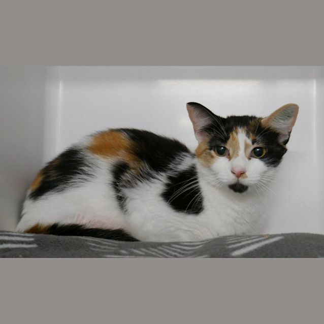 Photo of Tilly Sta009509