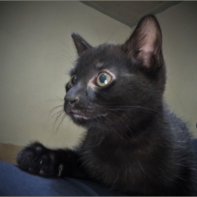 Photo of 2 Bundles Of Joy