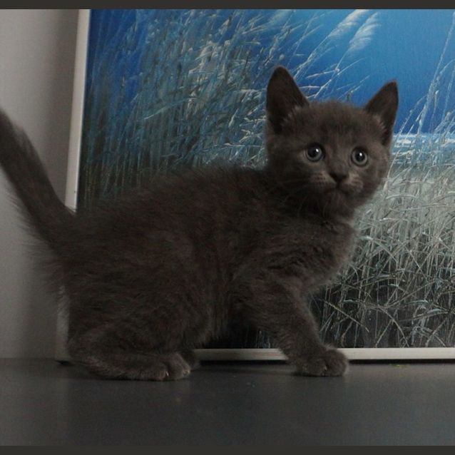 Photo of Betty Blue