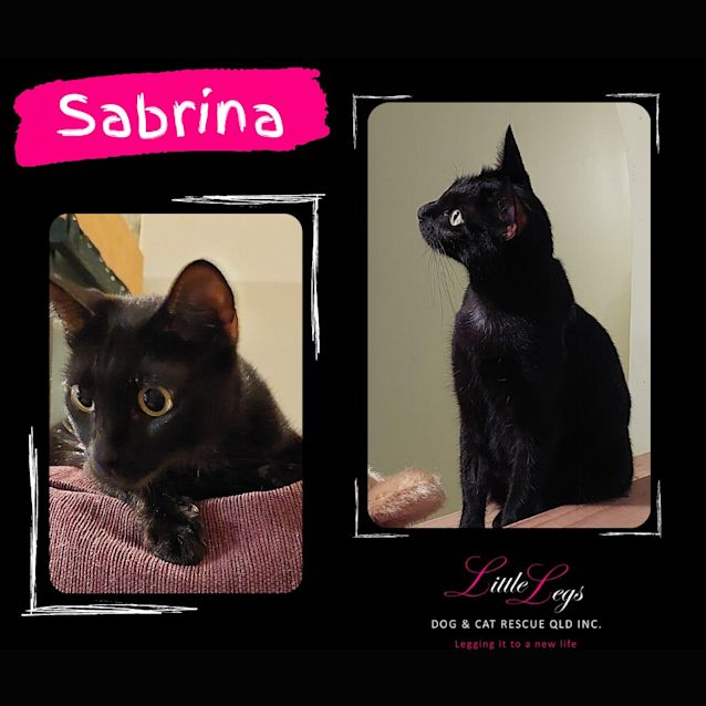Photo of Sabrina