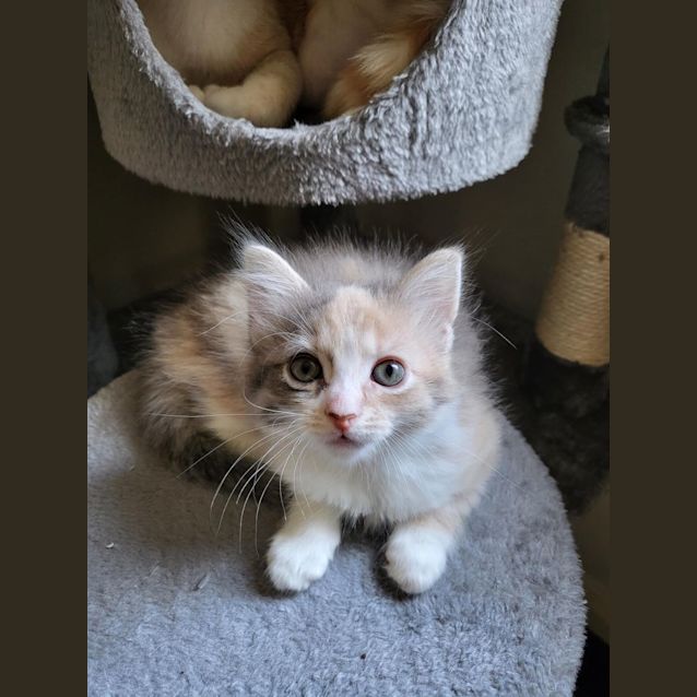 Photo of Gucci