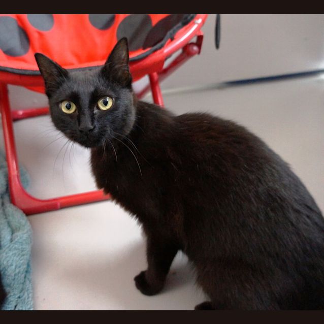 Photo of Lilly