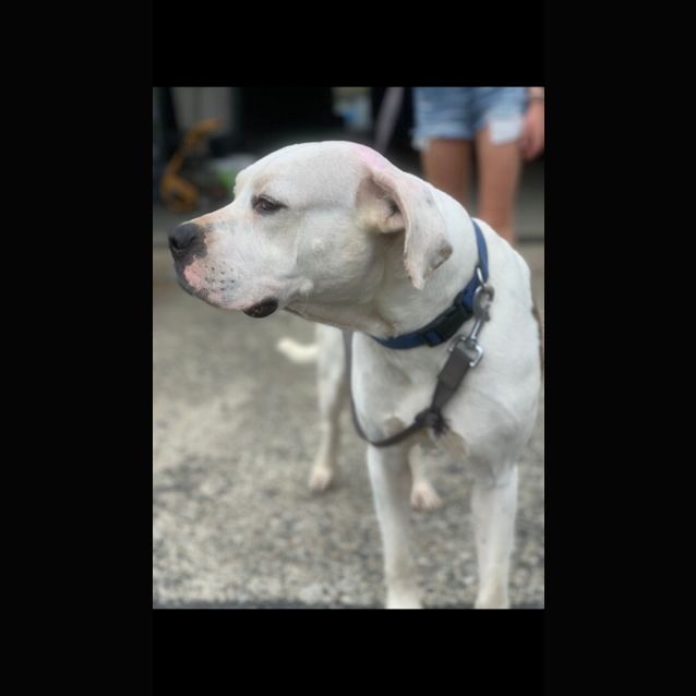 Photo of Buddy ❤️