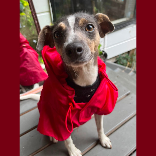 Photo of Dallas 🍖