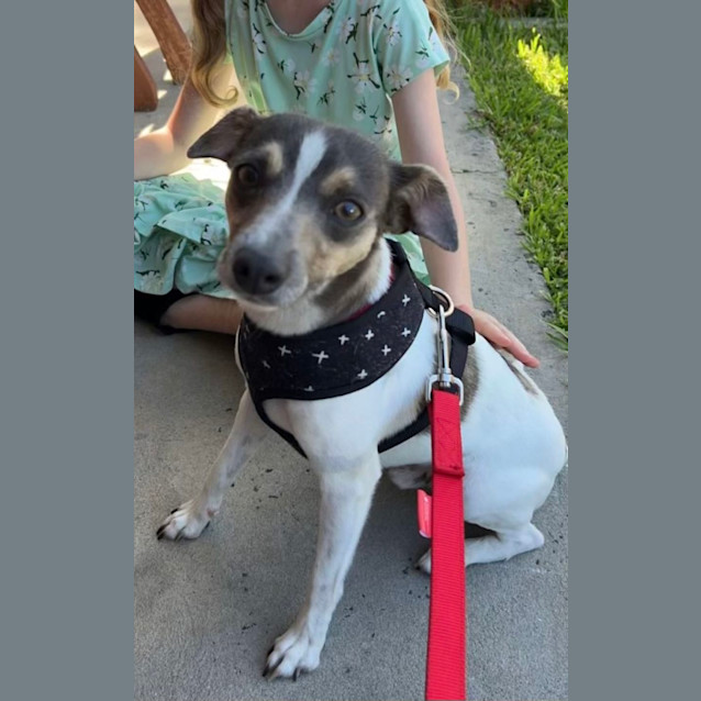 Photo of Dallas 🍖