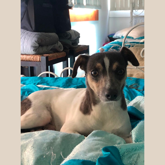 Photo of Dallas 🍖