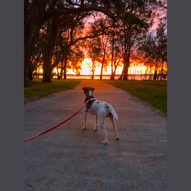 Photo of Dallas 🍖